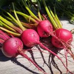 Heritage Park Campground