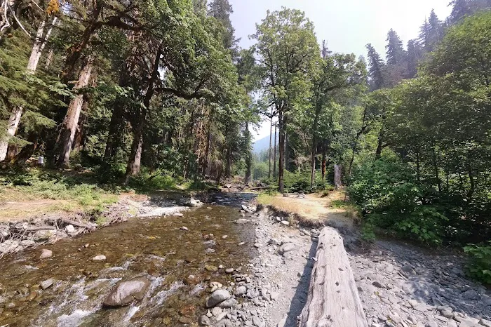 Camp Pleasant 8