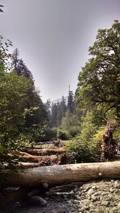 Camp Pleasant 6
