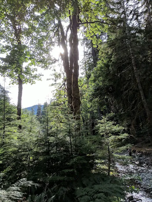 Camp Pleasant 2