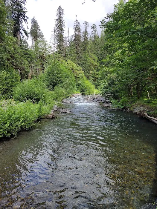 Camp Pleasant 3