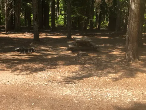 Lake Creek Campground - Little Wenatchee River 5