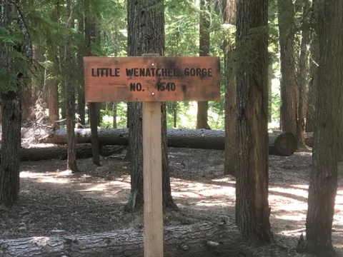 Lake Creek Campground - Little Wenatchee River 1