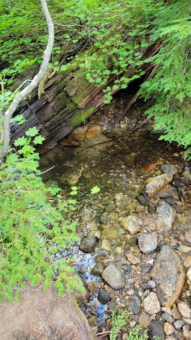 Lake Creek Campground - Little Wenatchee River 3