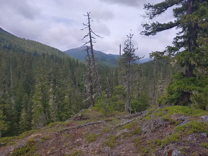 Lake Creek Campground - Little Wenatchee River 7