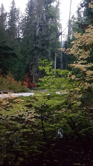 Rainy Creek Campground 7