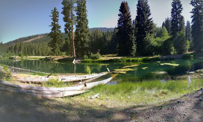 Longmire Meadow 8