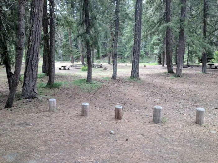 Kaner Flat Group Campsite 5