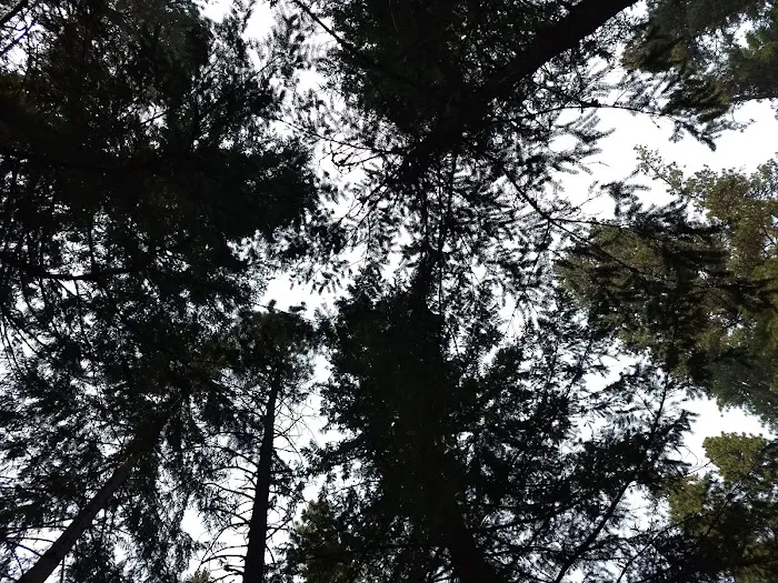 Kaner Flat Campground 4