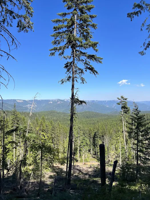 Kaner Flat Campground 6