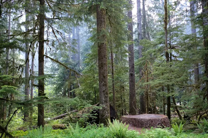 Staircase Campground 7