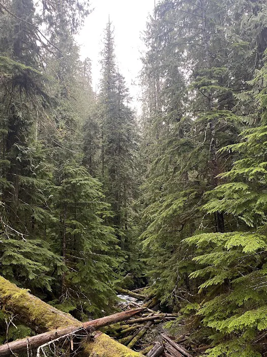 Flapjack Lakes 4