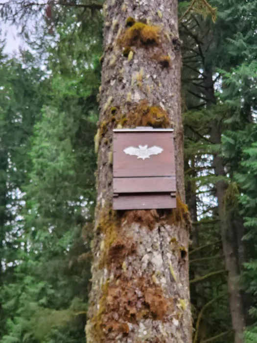 Mountaindale Lodge 6