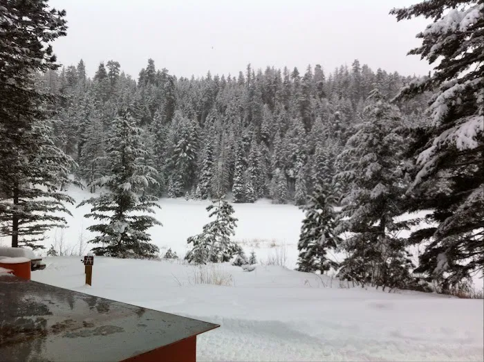 Blackpine Lake Campground 7
