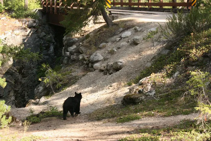 High Bridge Campground 0