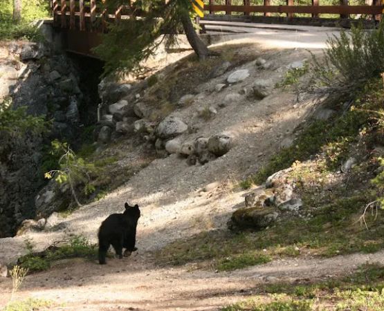 High Bridge Campground