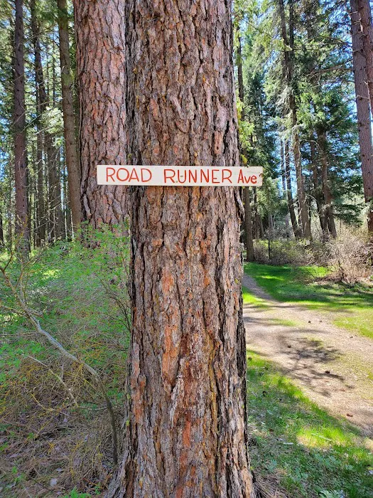 Eagle Valley Campground 4
