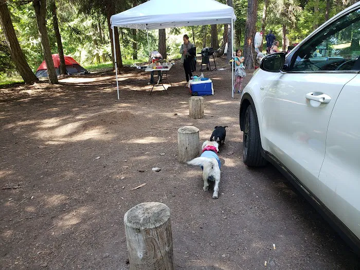 Icewater Creek Campground 2
