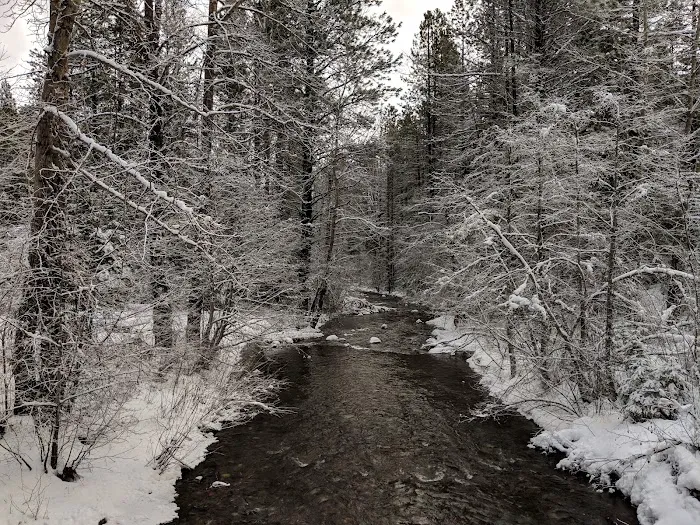 Icewater Creek Campground 6