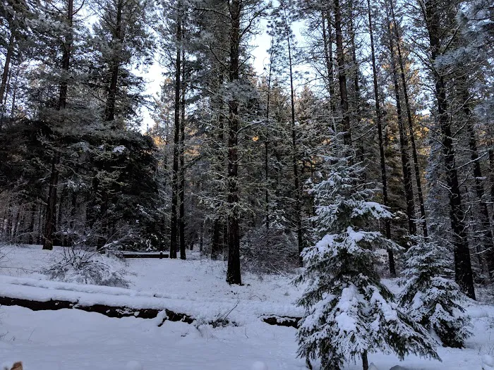 Icewater Creek Campground 4