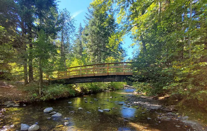Icewater Creek Campground 9