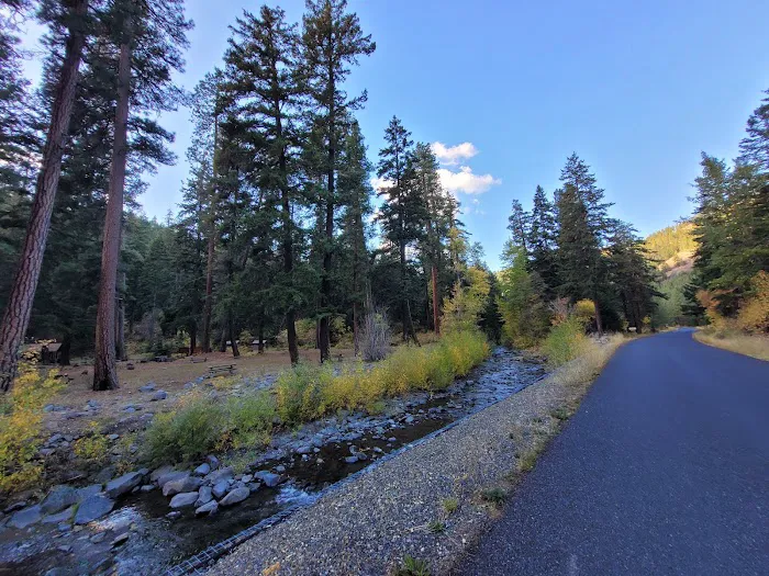 Taneum Junction Campground 1