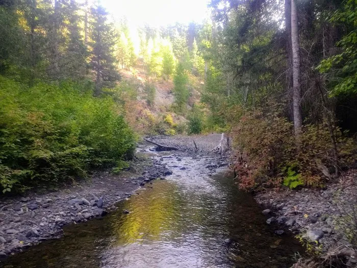 Taneum Junction Campground 9