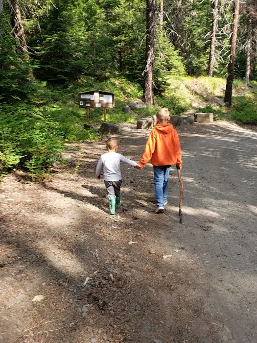 Taneum Junction Campground 6