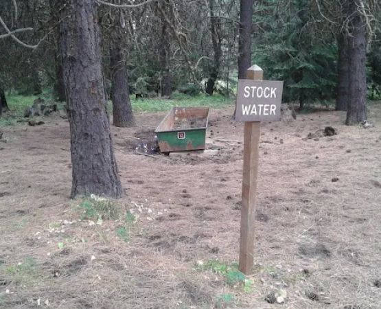 Tamarack Spring Campground