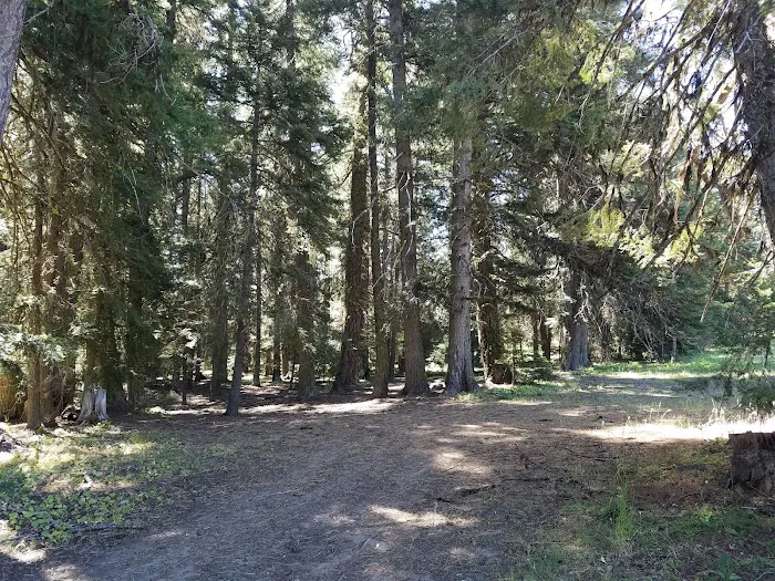 Tamarack Spring Campground 2