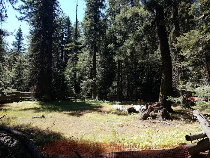 Tamarack Spring Campground 6