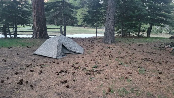 Tamarack Spring Campground 5
