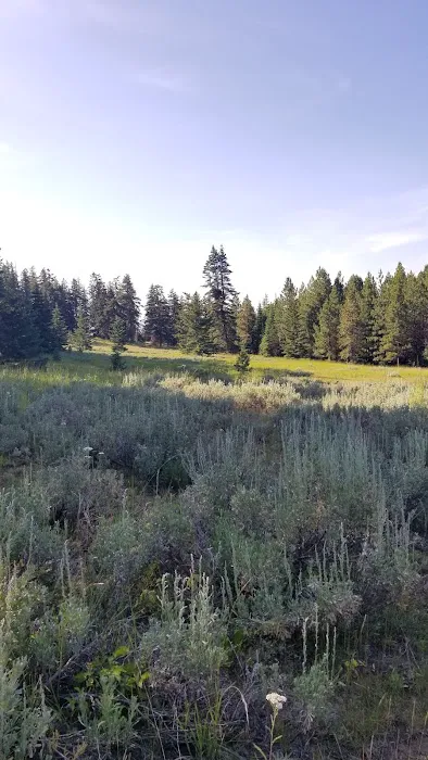 Tamarack Spring Campground 8