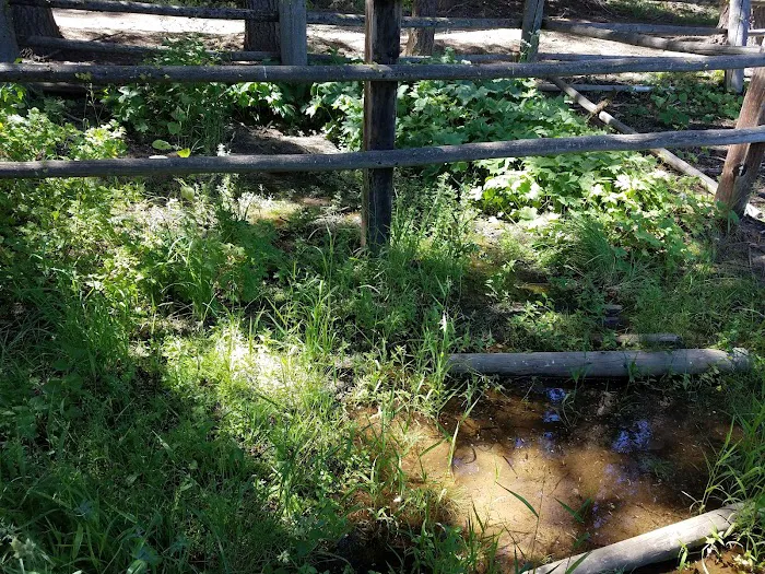 Tamarack Spring Campground 3