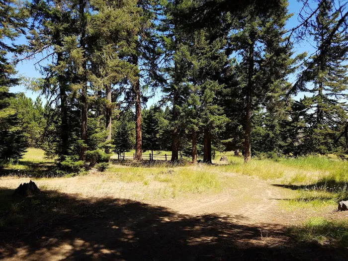 Tamarack Spring Campground 7