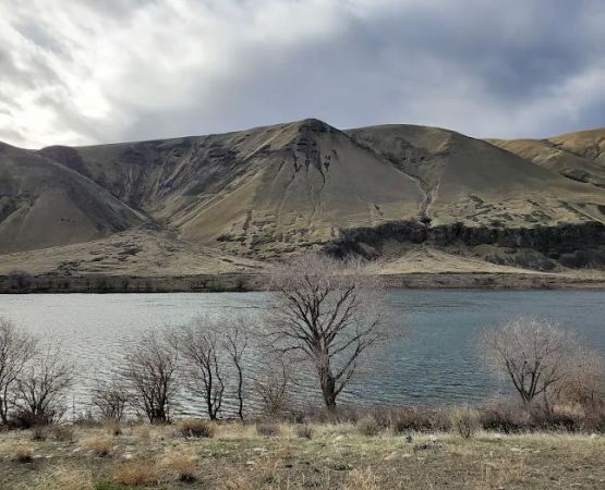 Jackson Creek Fish Camp