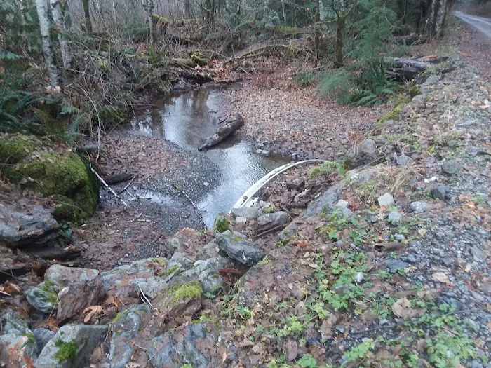 Chocwich Campground 4