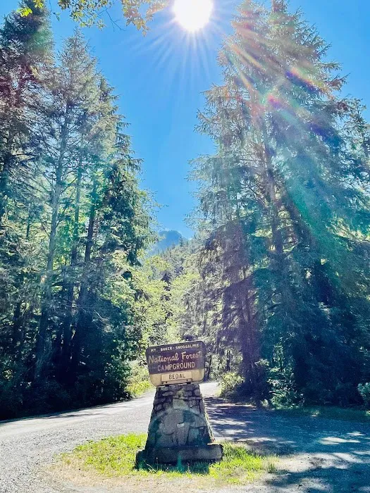 Bedal Campground 1