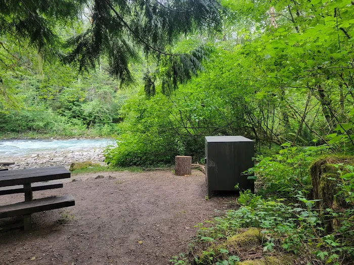 Bedal Campground 8
