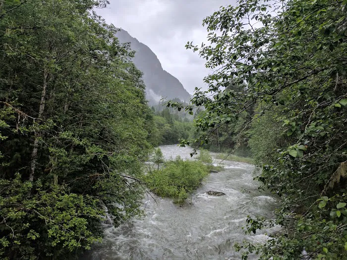 Bedal Campground 9