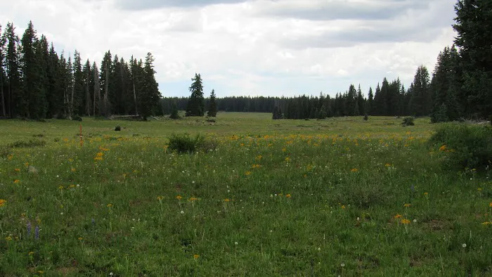 Spruce Grove Campground 0