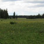 Spruce Grove Campground