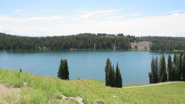 Spruce Grove Campground 1