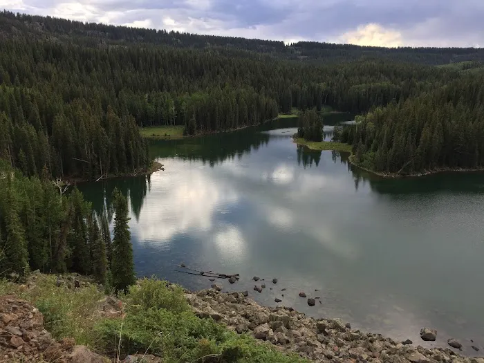 Spruce Grove Campground 4