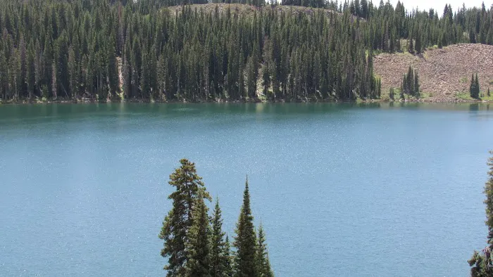 Spruce Grove Campground 7
