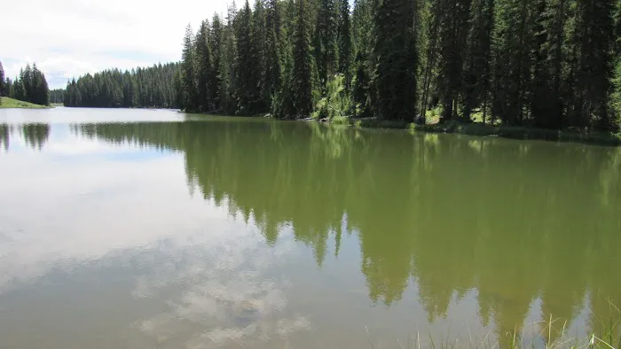 Spruce Grove Campground 9