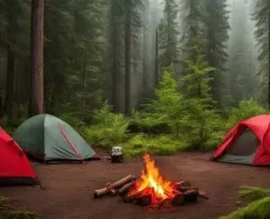 How to Prepare for a Wildfire While RV Camping: Essential Safety Guide