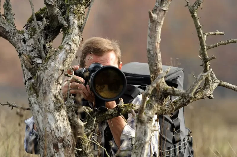Tips for Finding the Best Campsite for Wildlife Photography and Close Encounters