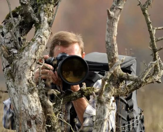 Tips for Finding the Best Campsite for Wildlife Photography and Close Encounters