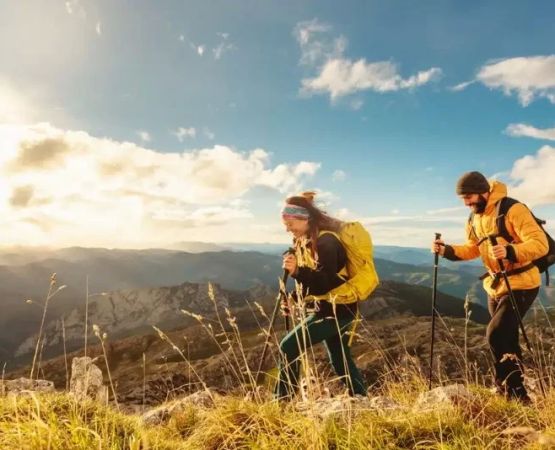 Choosing the Right Hiking Poles for Stability on Uneven Terrain